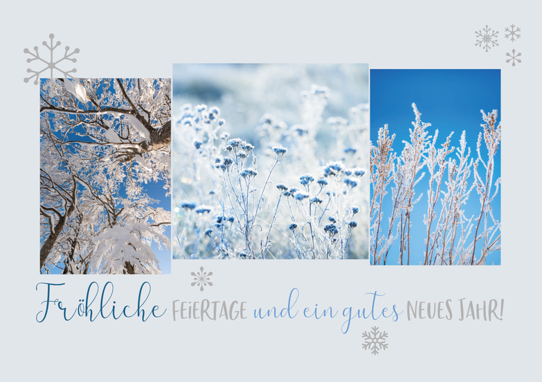 Weihnachtskarte: 3 Winterimpressionen