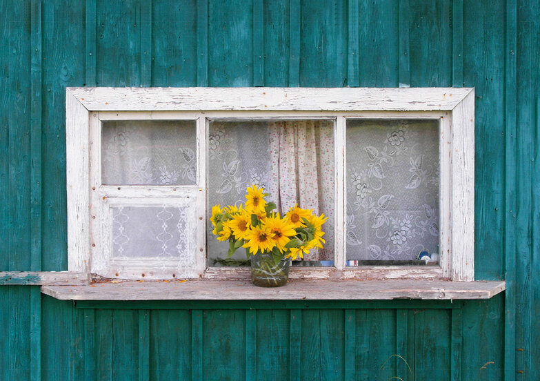 Grußkarte: Im Fenster